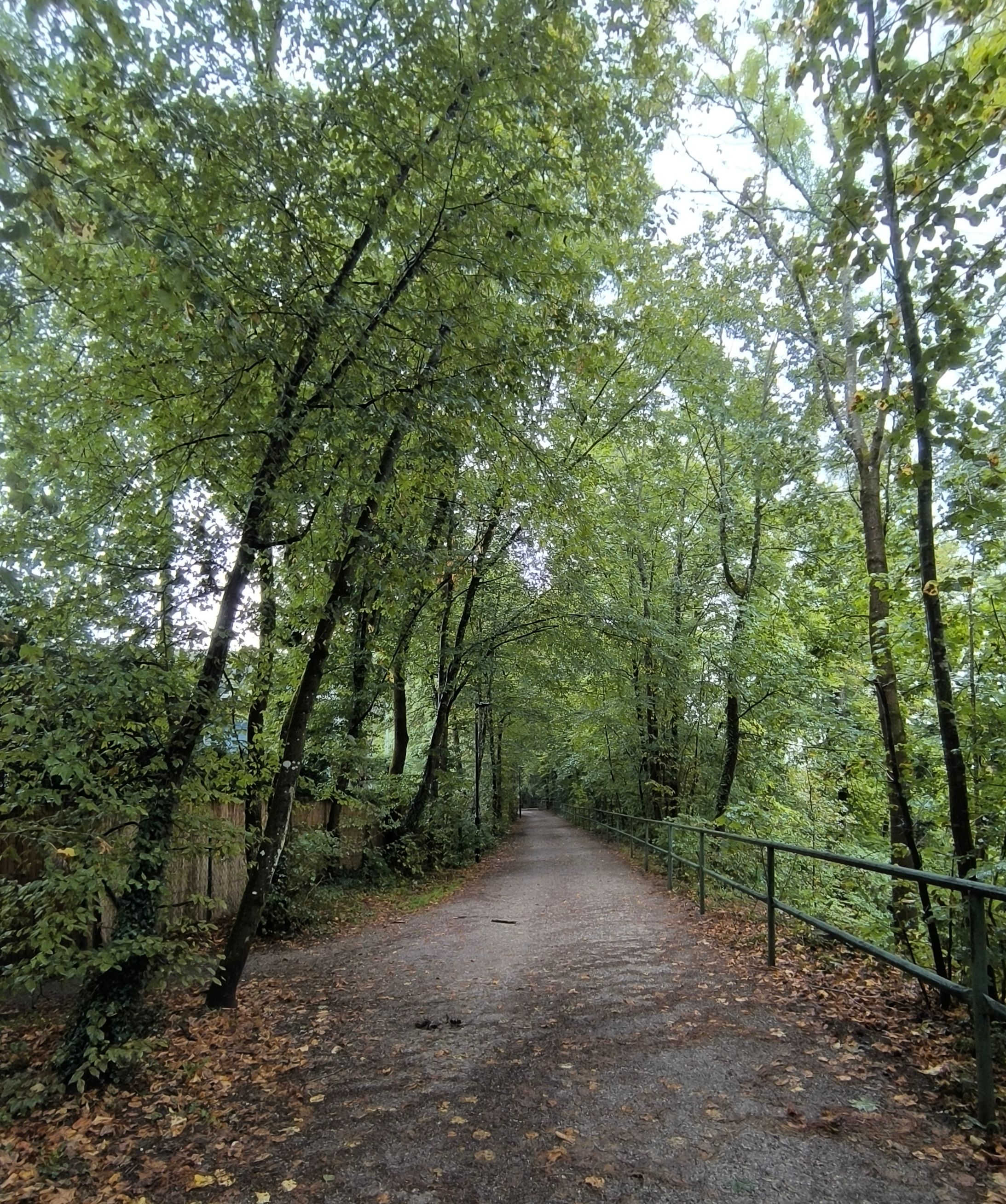 Waldspaziergang Isar